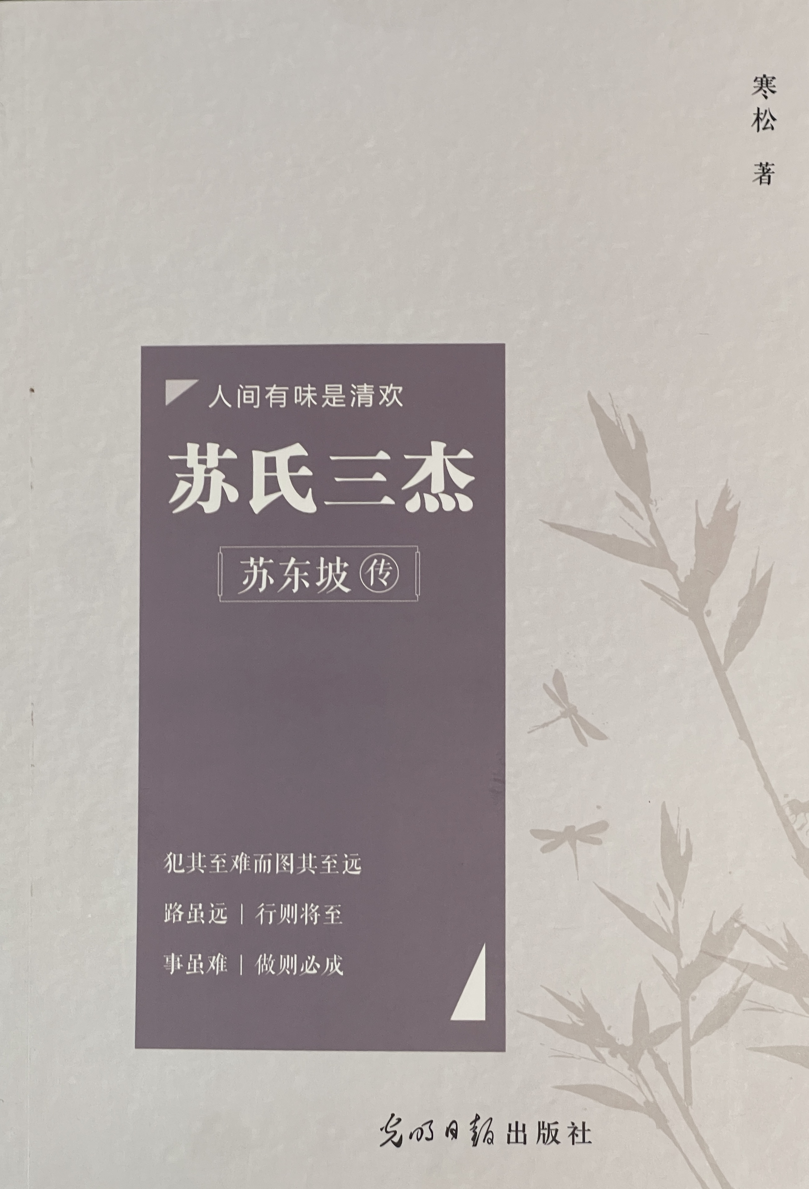 苏氏三杰·苏东坡传 封面