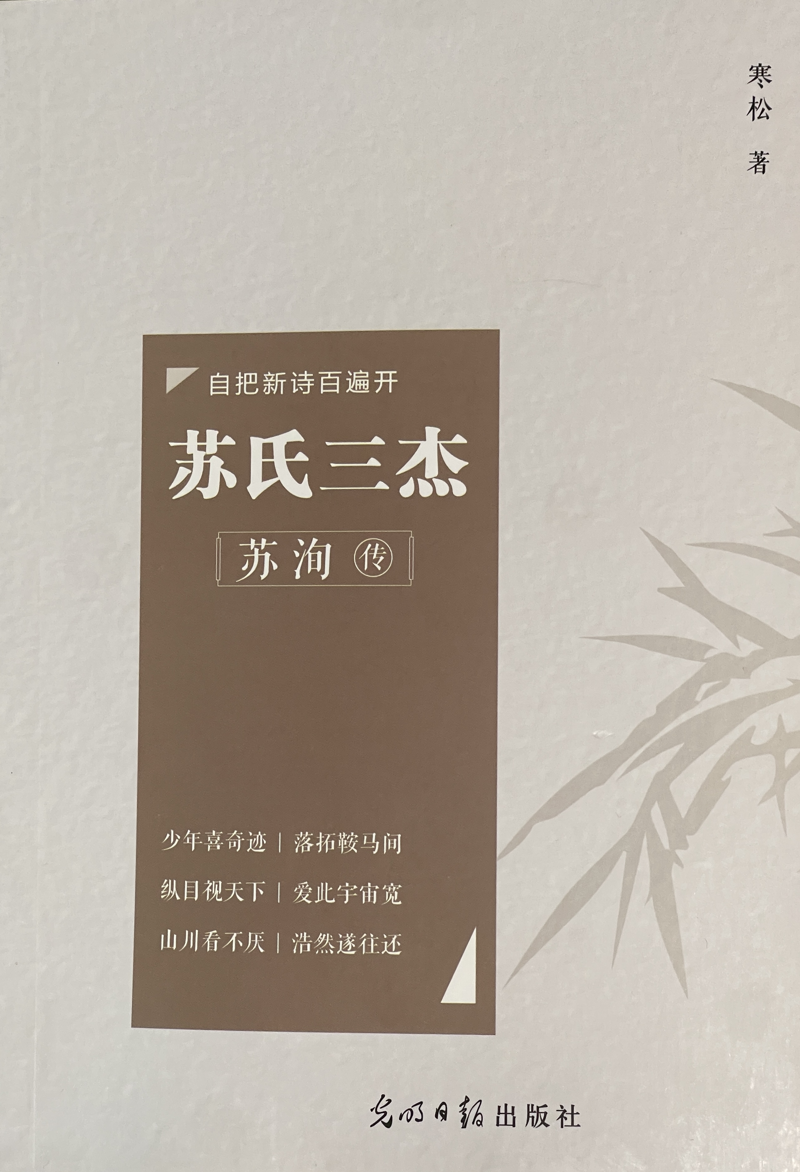 苏氏三杰·苏洵传 封面